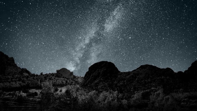 只能选一个，你选谁？